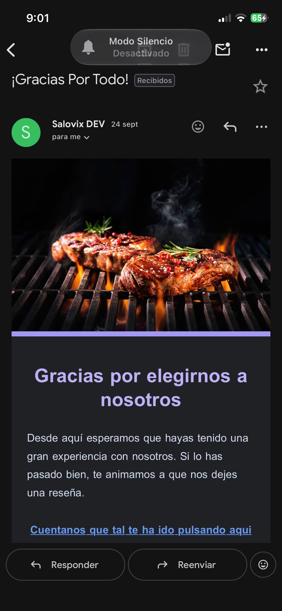 Email de reseña recibido por el cliente
